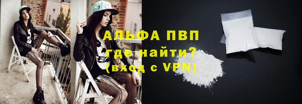 ECSTASY Покачи