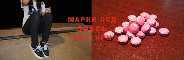 индика Протвино