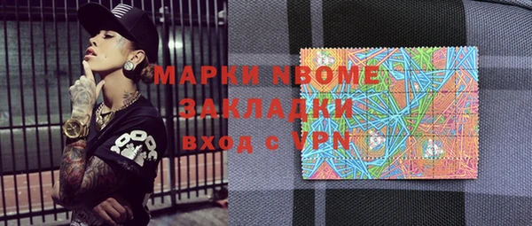 индика Протвино