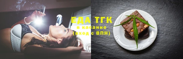 индика Протвино