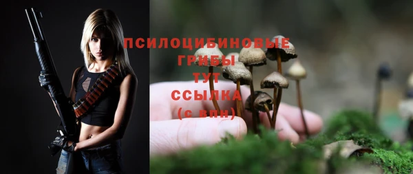 дживик Пролетарск