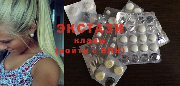 индика Протвино