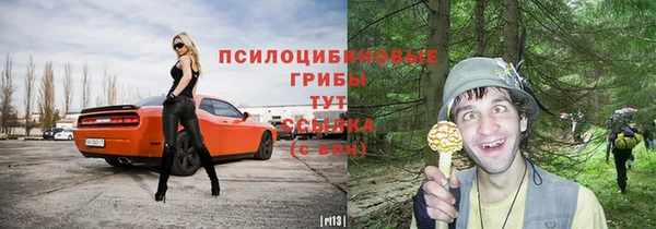 индика Протвино