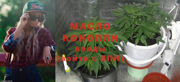 индика Протвино