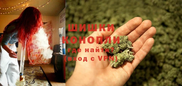 индика Протвино