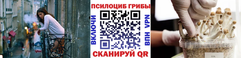 Псилоцибиновые грибы GOLDEN TEACHER  Саратов 