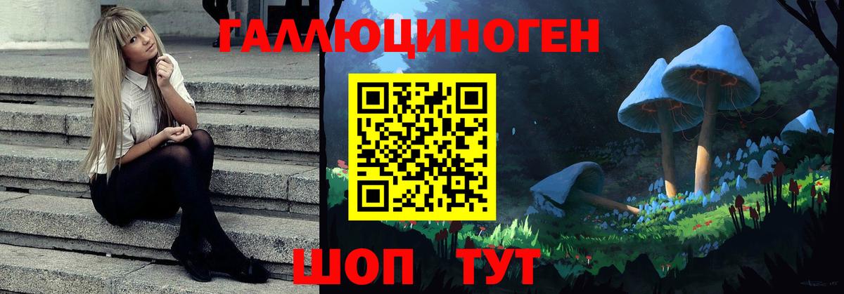 Саратов  Псилоцибиновые грибы Psilocybine cubensis  как найти закладки  Вход с VPN 