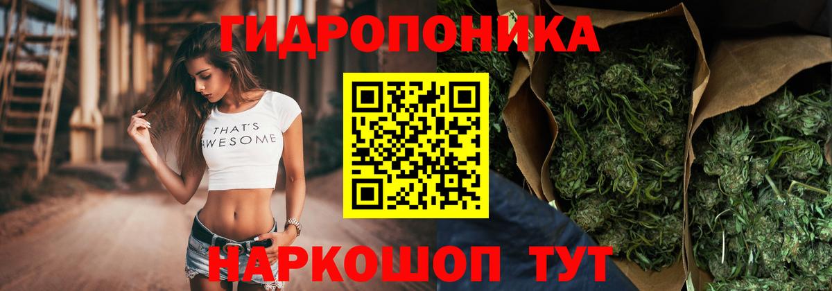 Шишки марихуана план  Канабис индика  Вход с VPN  Саратов 